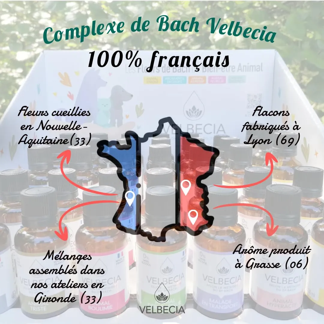 Velbecia Animal peureux élixir fleurs de Bach 50ml +1 offert sans alcool