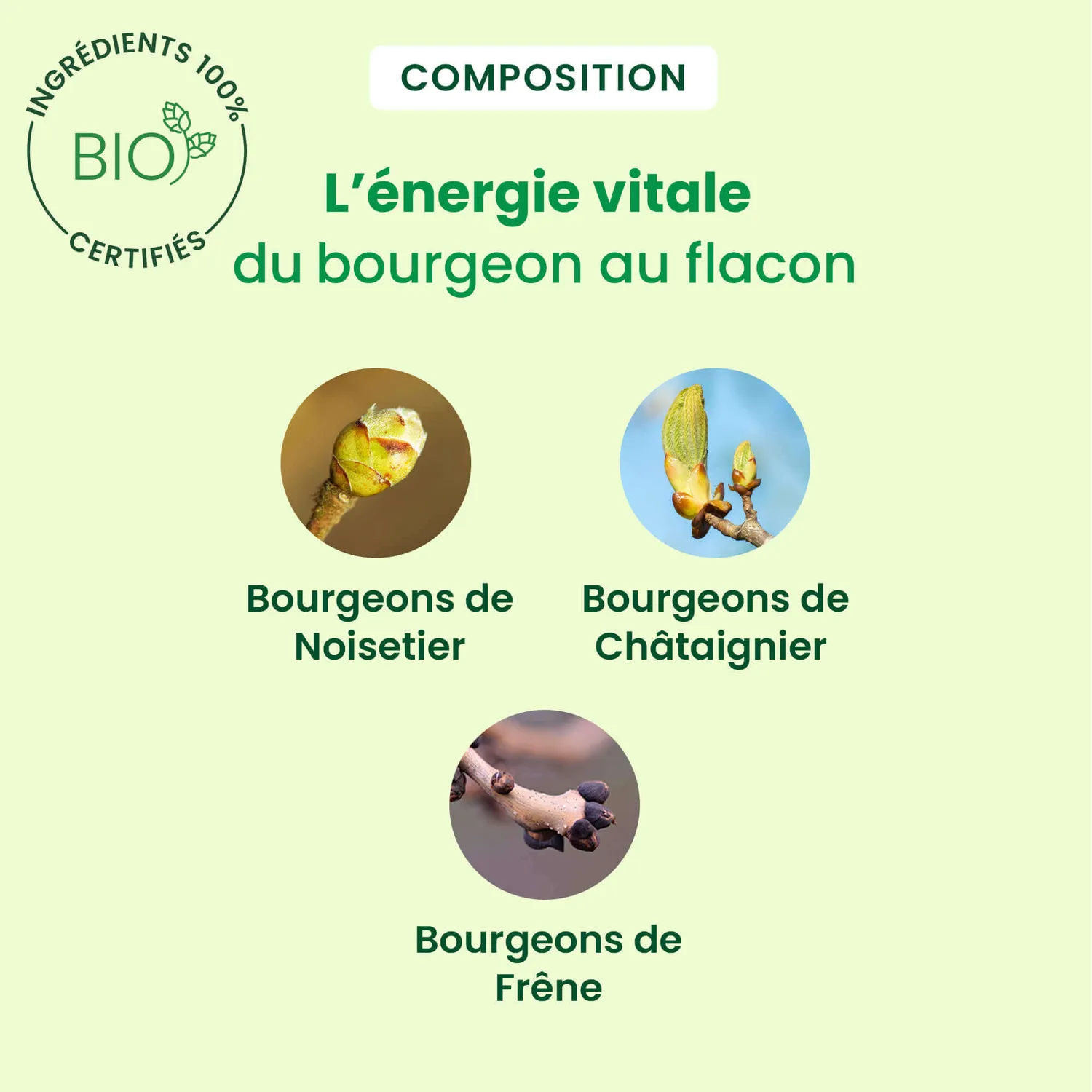 Herbalgem Celluligem complexe ligne drainage bio