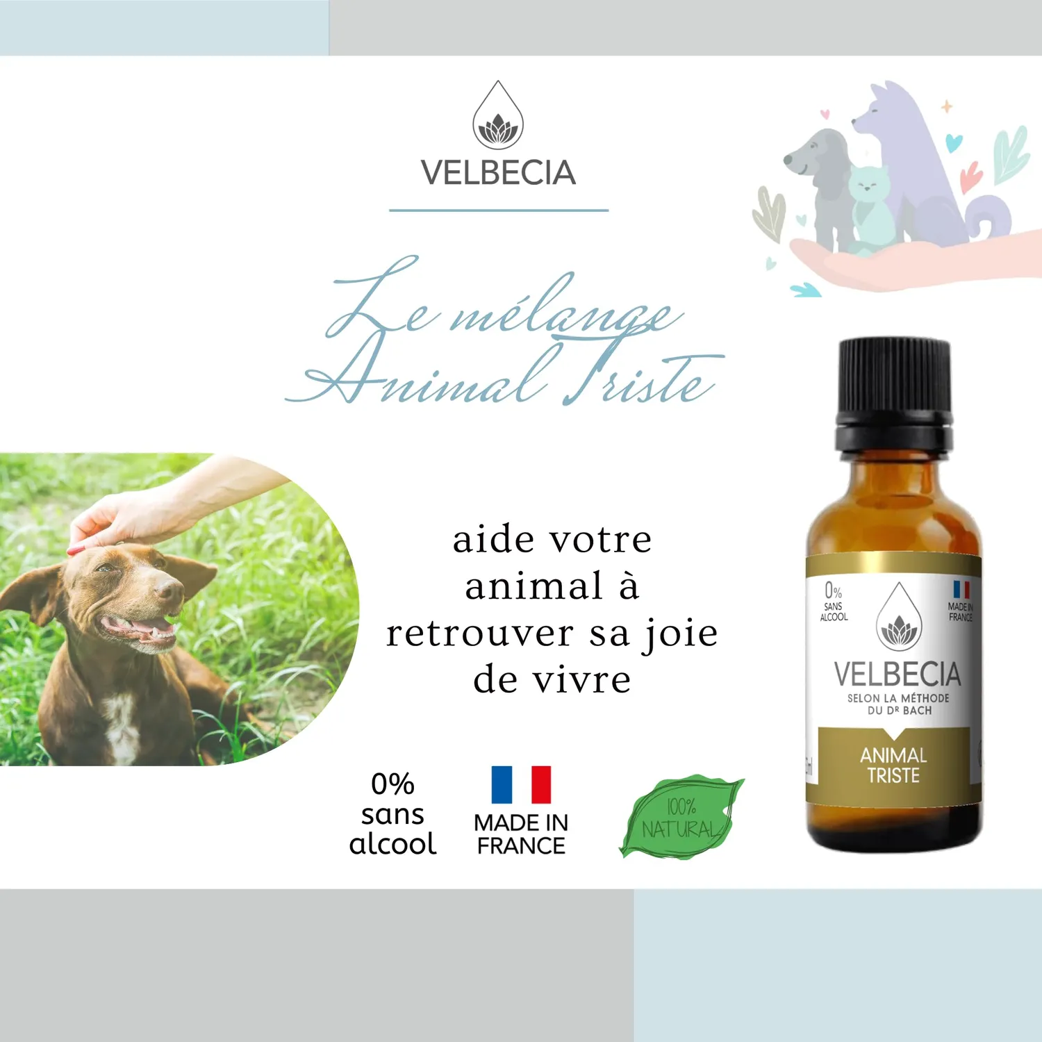 Velbecia Animal Triste élixir sans alcool 50 ml x2
