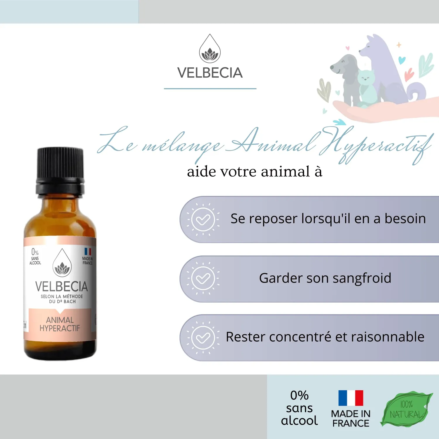 Velbecia Animal hyperactif élixir fleurs sans alcool 2x50 ml