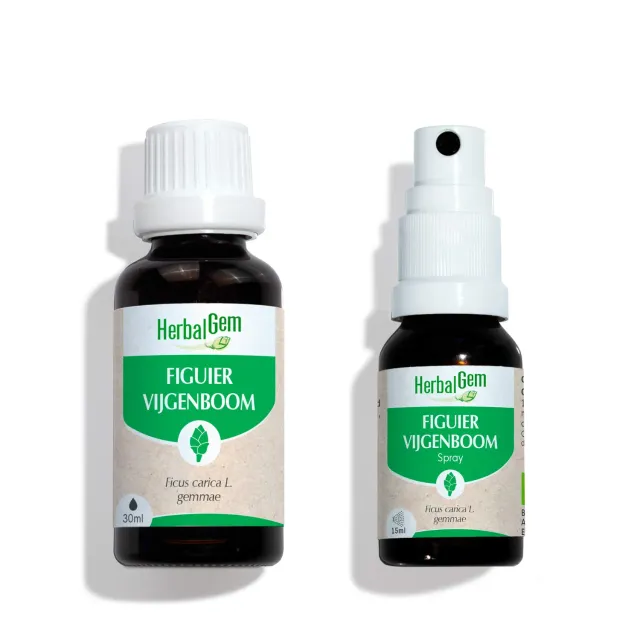 Herbalgem Figuier bourgeon bio duo 30 ml + 15 ml digestion