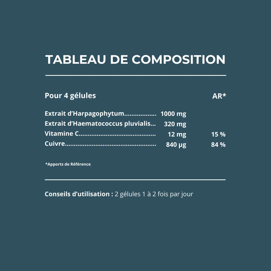 Laboratoires Monin Chanteaud Kinesafort 60 gélules articulations