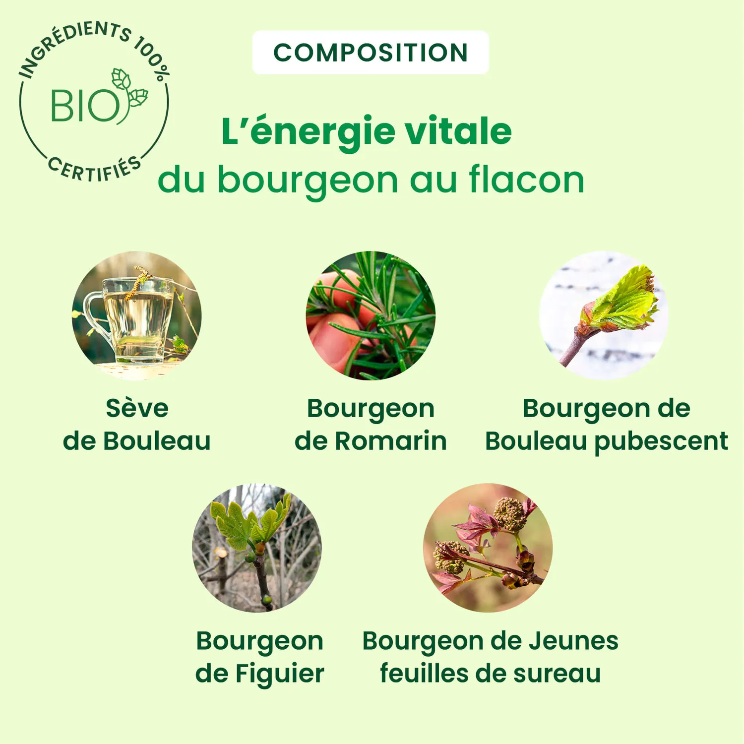 Herbalgem Sève Ligne sève de bouleau bio silhouette