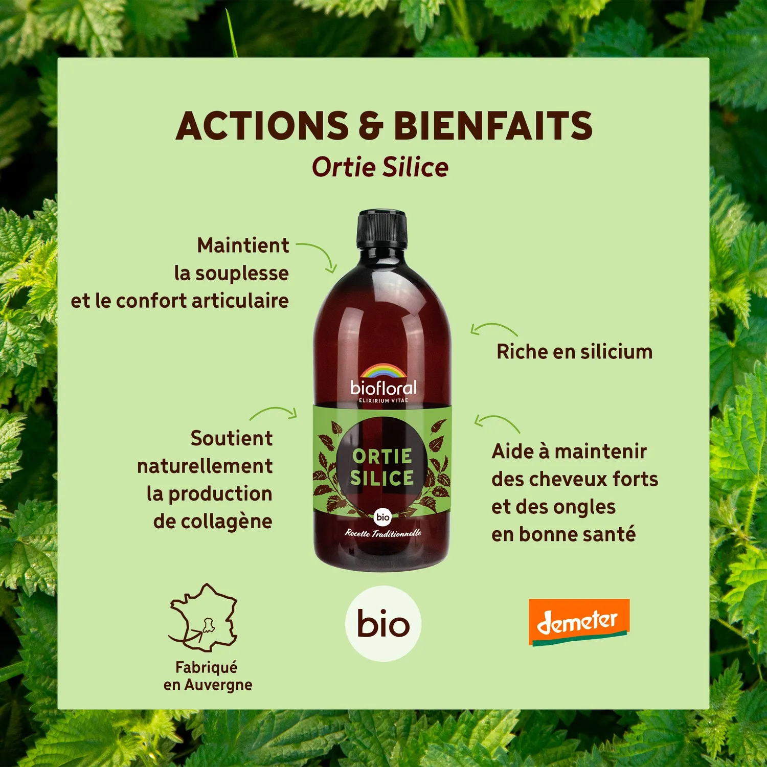 Herbalgem Ortie Silice Bio Demeter extrait
