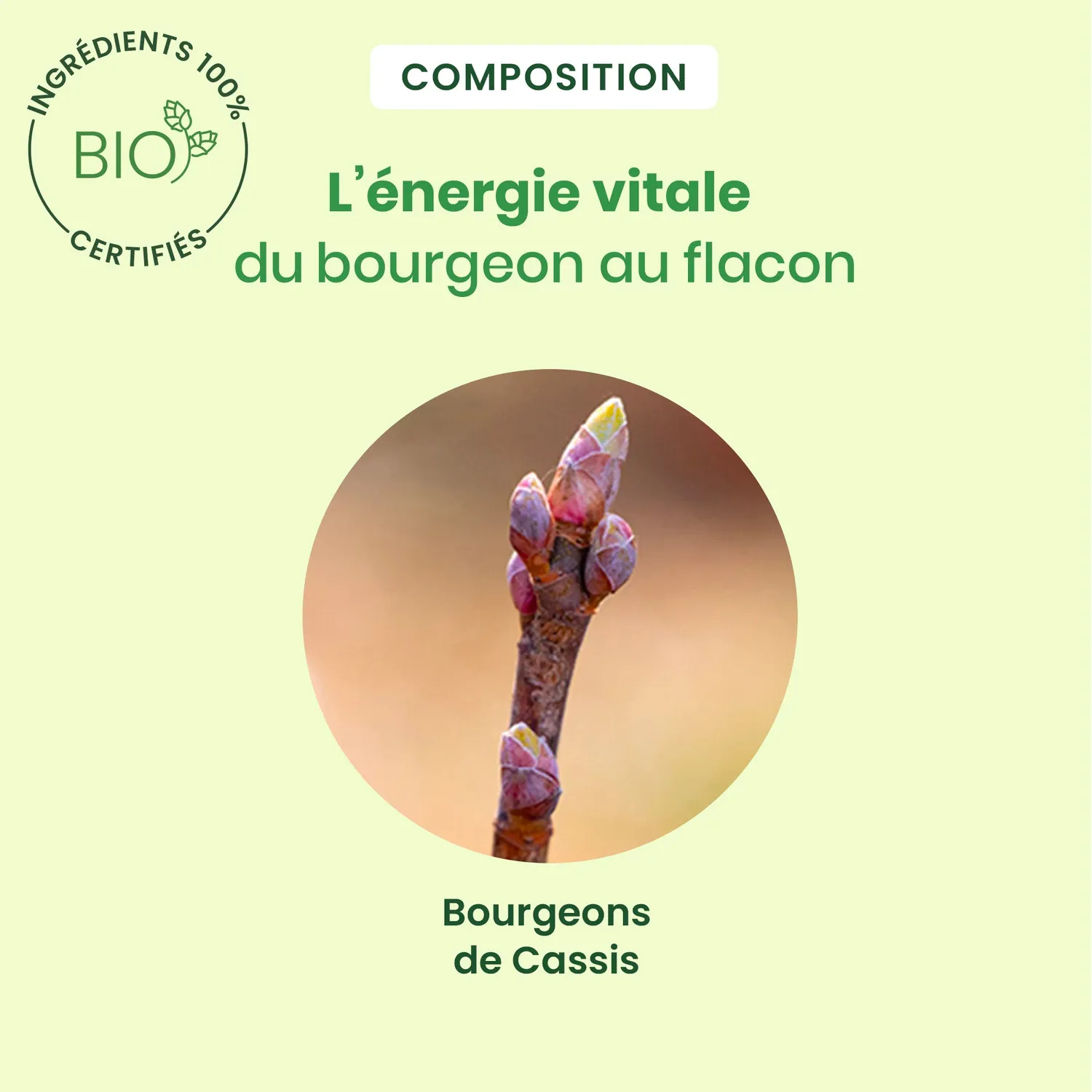 Herbalgem Bourgeon Cassis Spray Bio Fatigue