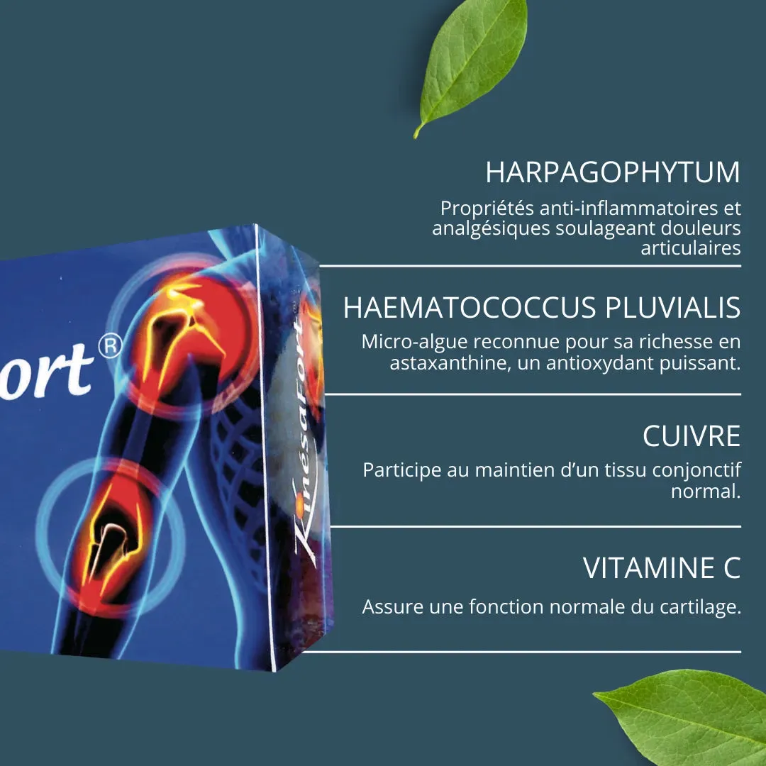 Laboratoires Monin Chanteaud Kinesafort 60 gélules articulations