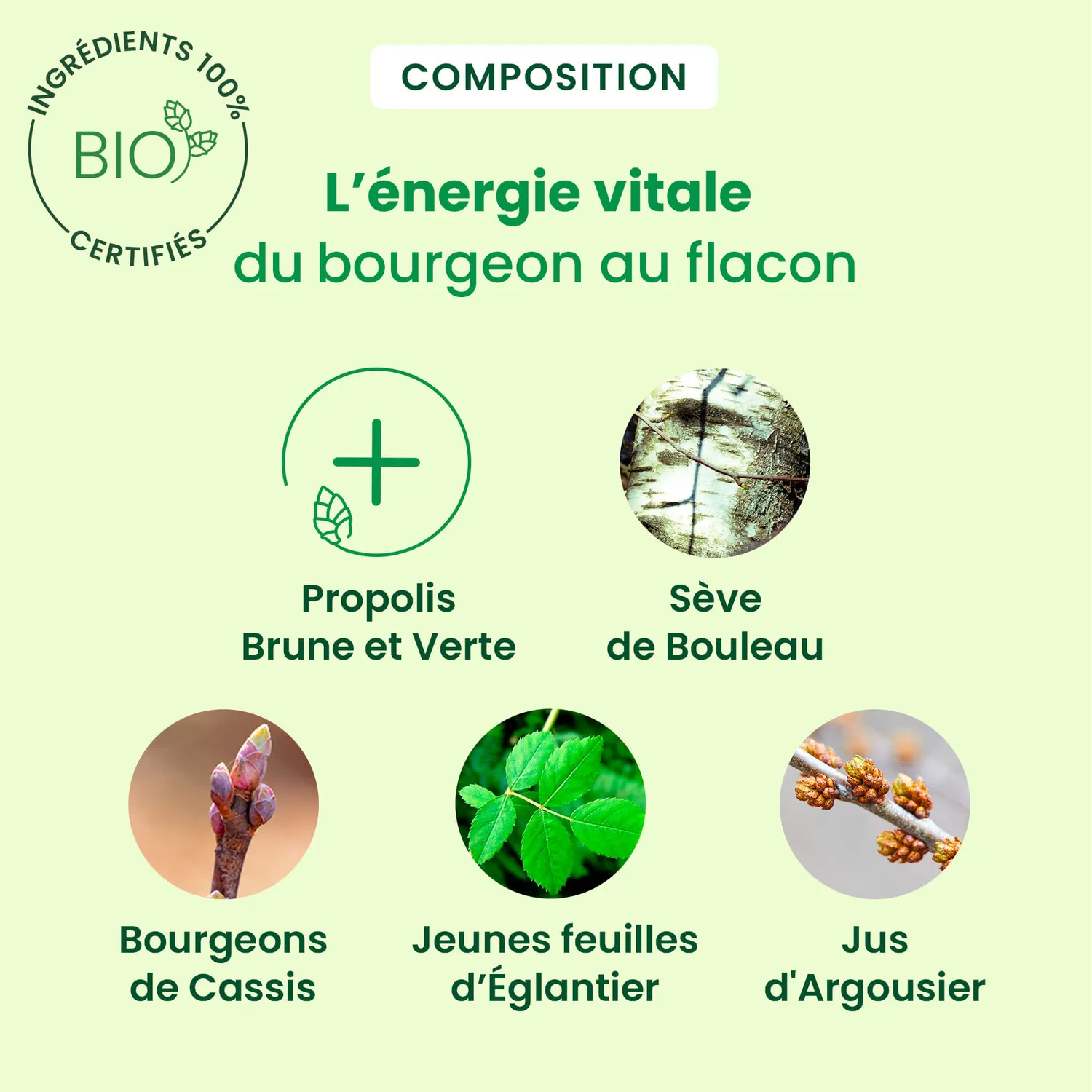 Herbalgem Propolis Express solution liquide bio immunité