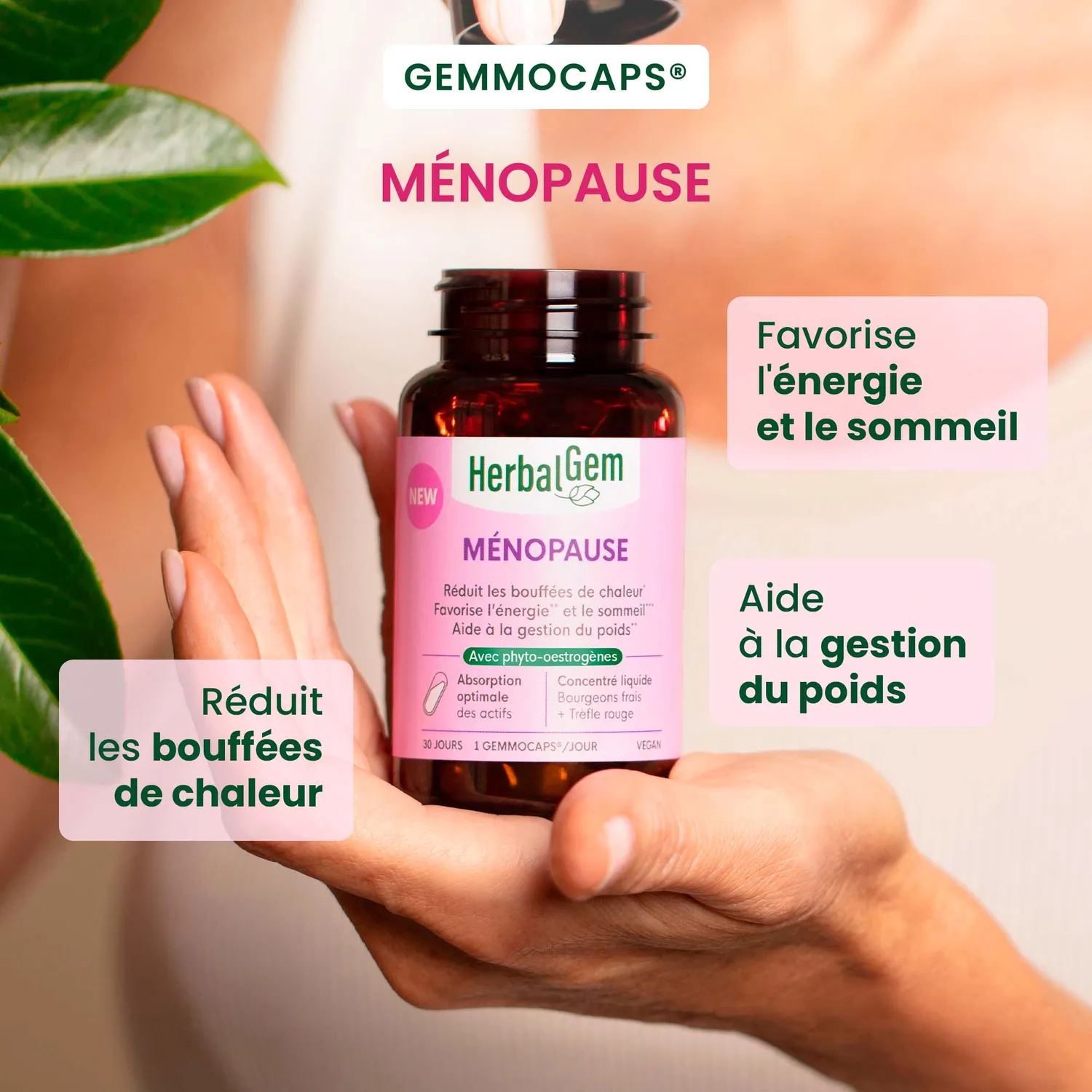 Herbalgem Gemmocaps Ménopause gélules bourgeons cure