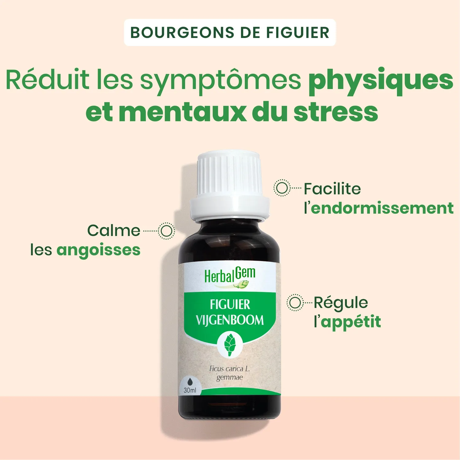 Herbalgem Figuier bourgeon bio duo 30 ml + 15 ml digestion