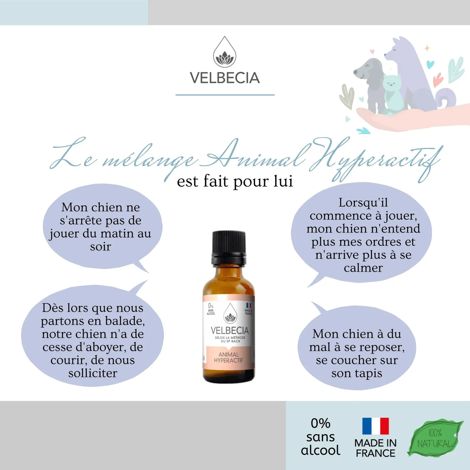 Velbecia Animal Hyperactif élixir fleurs 30ml + offert