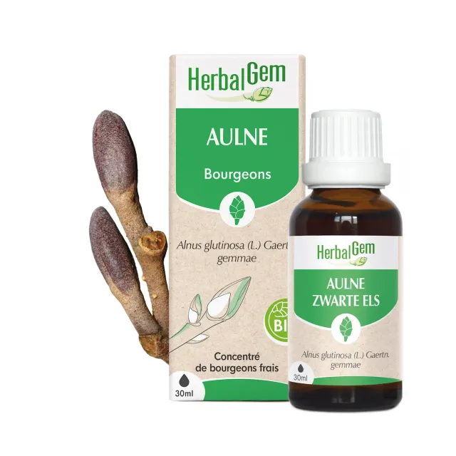 Herbalgem Aulne Bourgeon Macérat Bio Circulation 30 ml