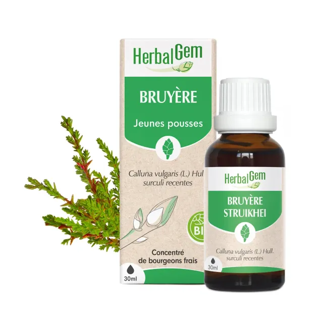 Herbalgem Bruyère Bio macérat de bourgeons voies urinaires