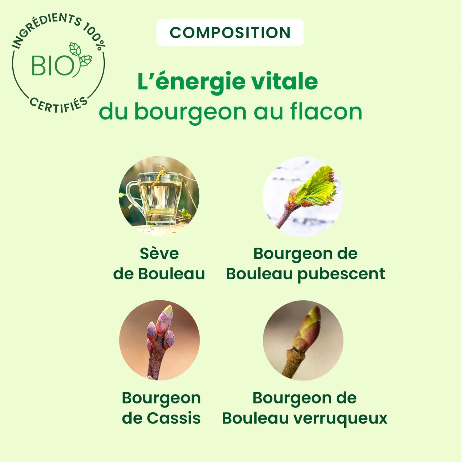 Herbalgem Sève Détox sève de bouleau bio élimination