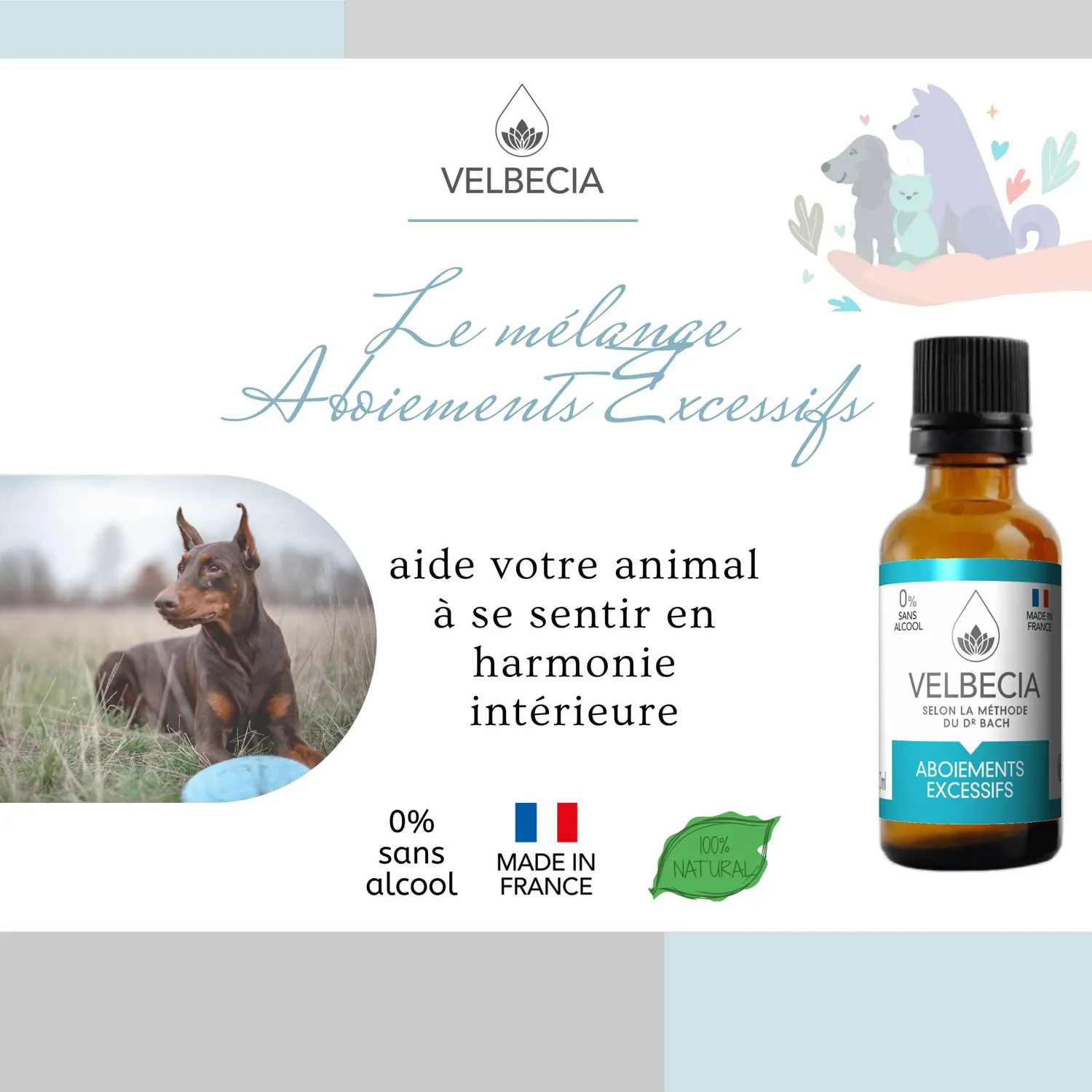 Velbecia Aboiements excessifs élixir fleurs de Bach 2x30ml sans alcool