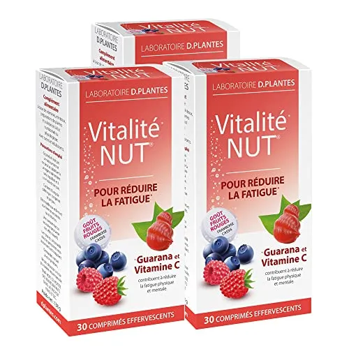 D.Plantes Vitalité-Nut effervescent fruits rouges 90 tonus