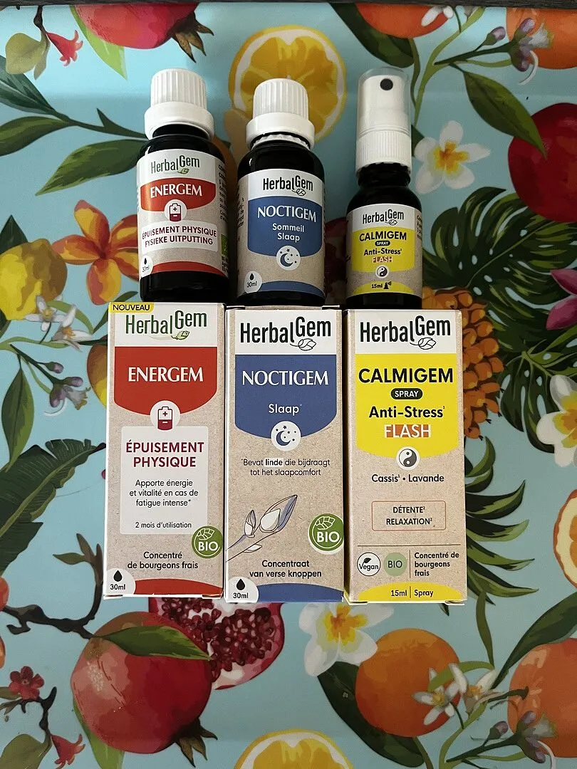 Herbalgem Pack Jour Nuit Energem Calmigem Noctigem 3 flacons