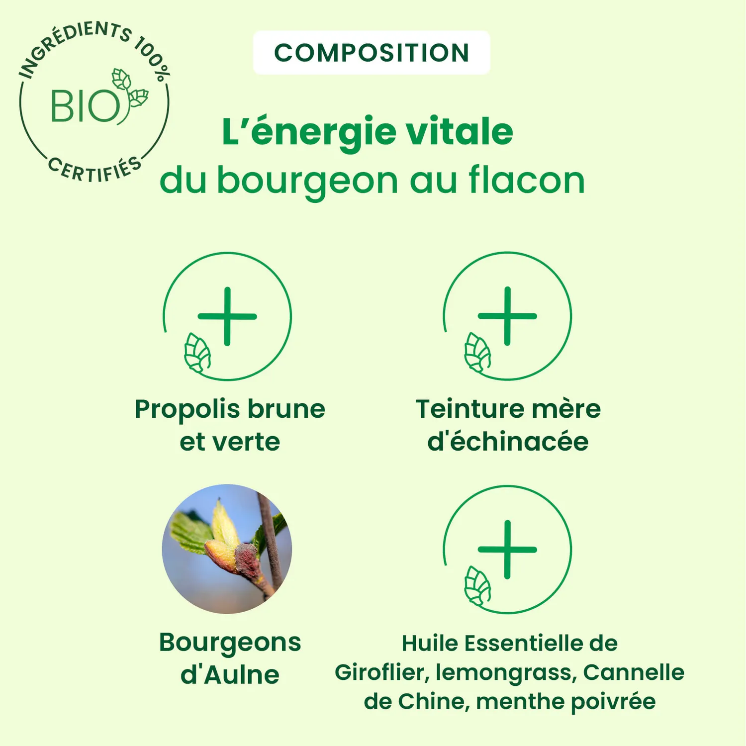 Herbalgem Duo Pack Propolis Bio spray gorge échinacée x2