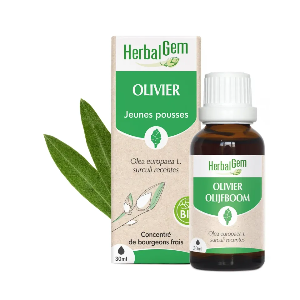 Herbalgem Olivier macérat bourgeon bio sérénité