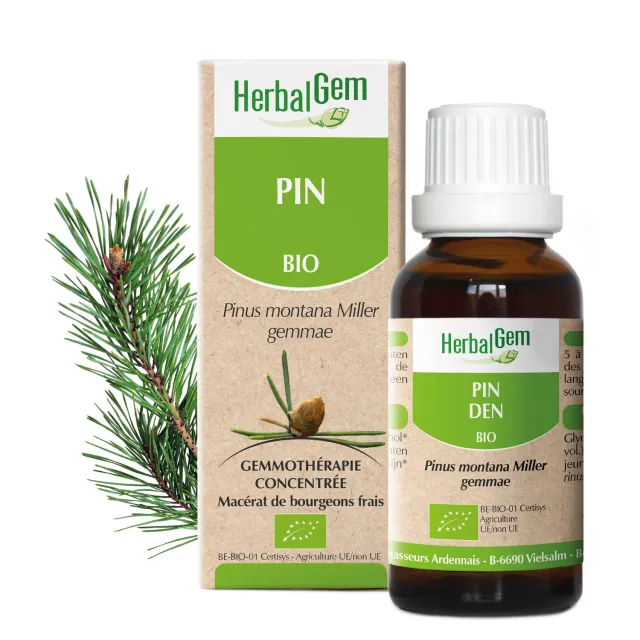 Herbalgem Pin des Montagnes Bio macérat cartilage