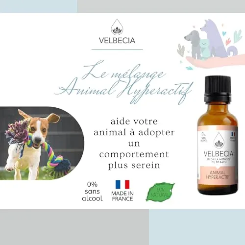Velbecia Animal hyperactif élixir fleurs sans alcool 2x50 ml