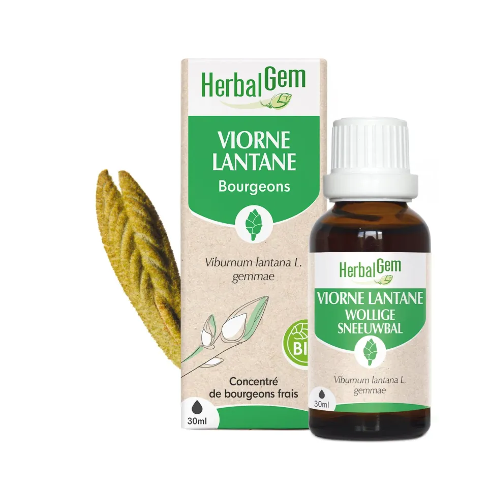 Herbalgem Viorne Lantane bourgeon bio respiratoire
