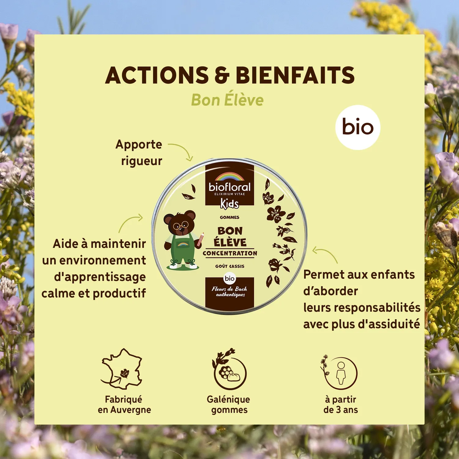 Herbalgem Bon élève gommes bio concentration enfant