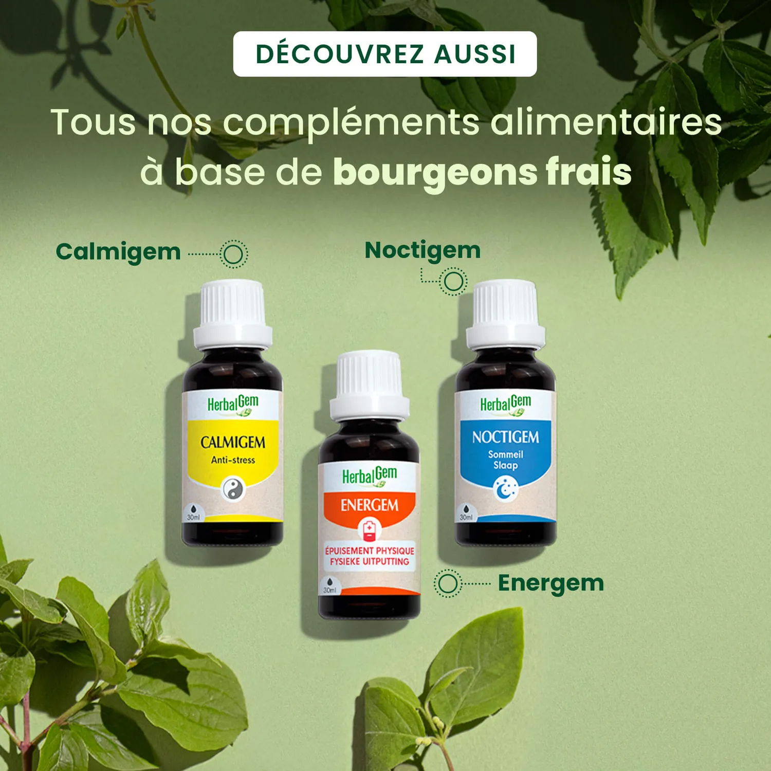 Herbalgem PrestaGem Confort Masculin complexe prostate