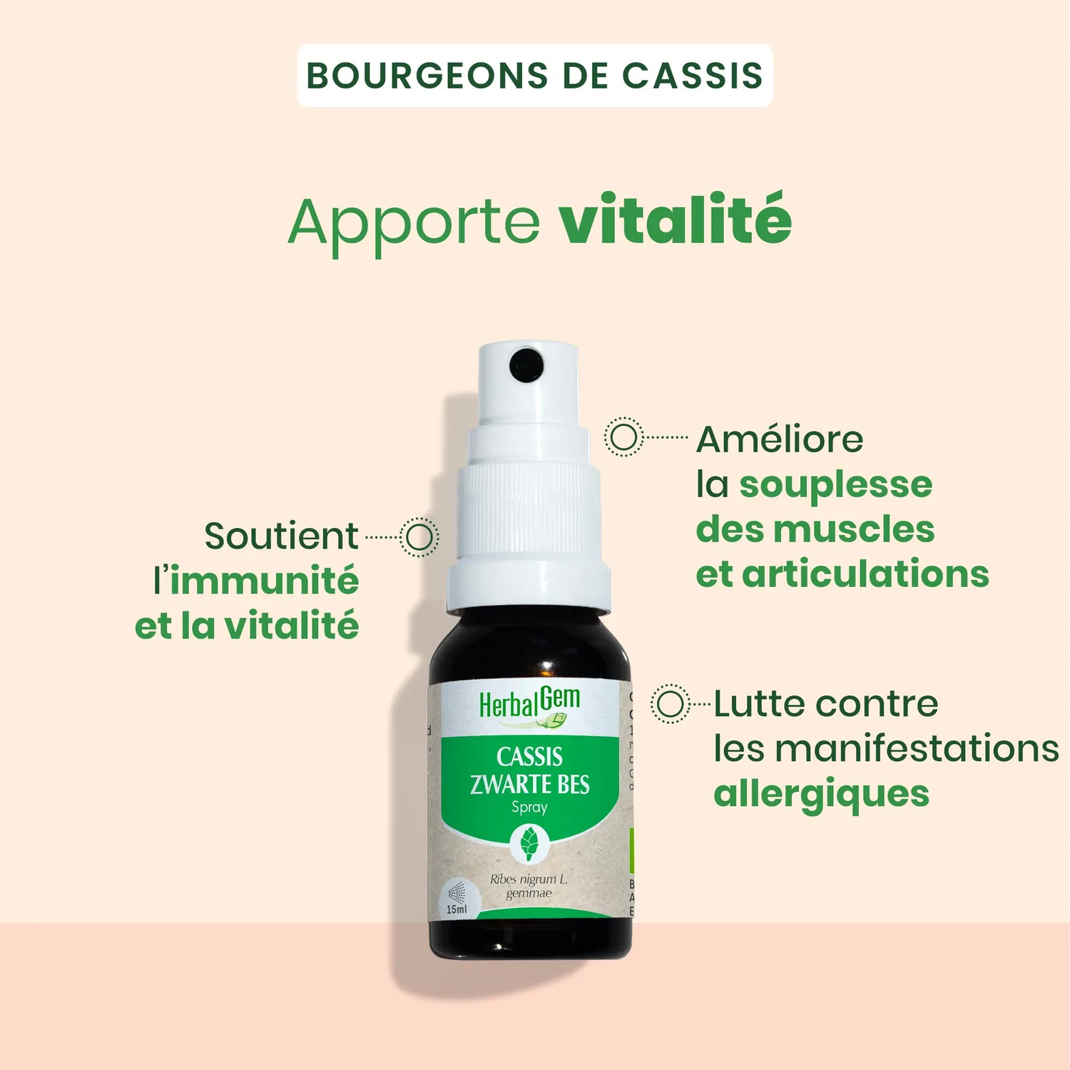 Herbalgem Bourgeon Cassis Spray Bio Fatigue