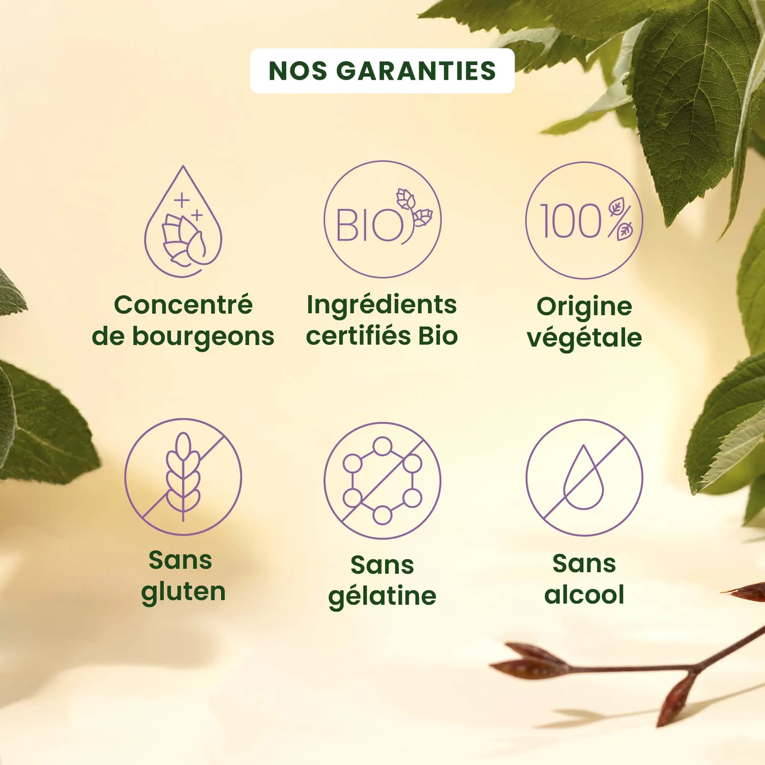 Herbalgem Gemmocaps Moral+ complément alimentaire humeur