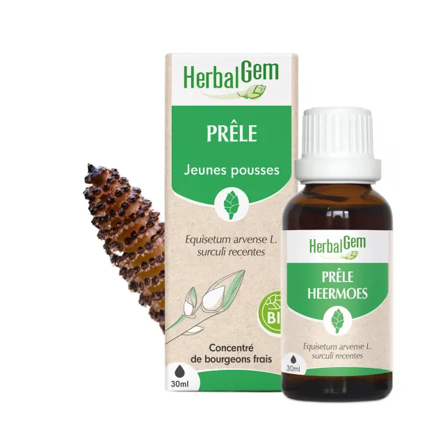 Herbalgem Prêle Bio concentré bourgeon circulation