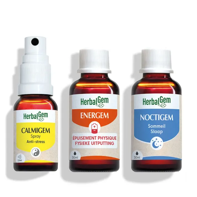 Herbalgem Pack Jour Nuit Energem Calmigem Noctigem 3 flacons