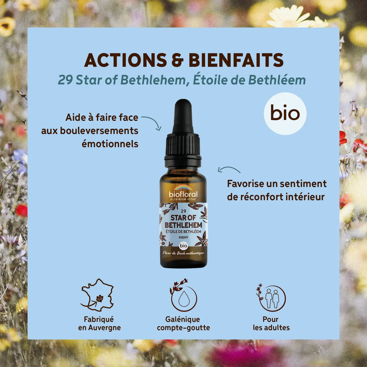 HerbalGem Fleur de Bach n°29 Star of Bethlehem bio