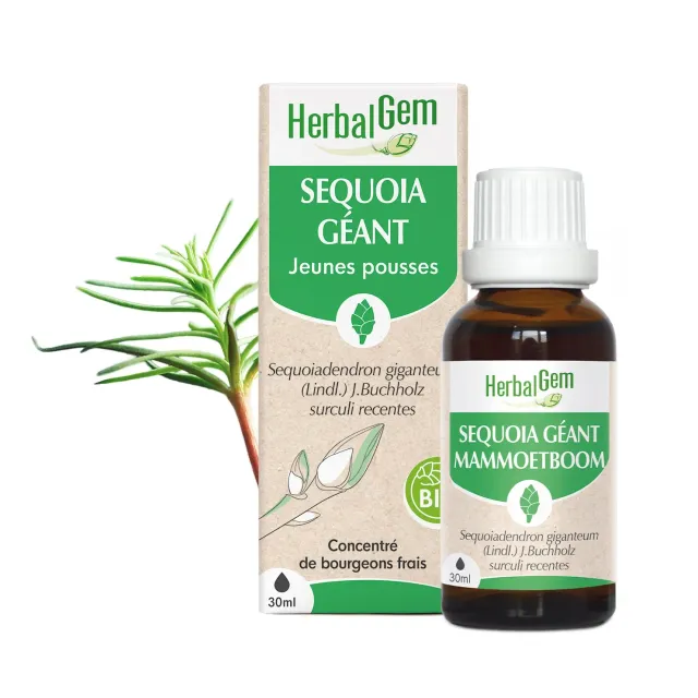 Herbalgem Séquoia Géant macérat bourgeon bio tonique