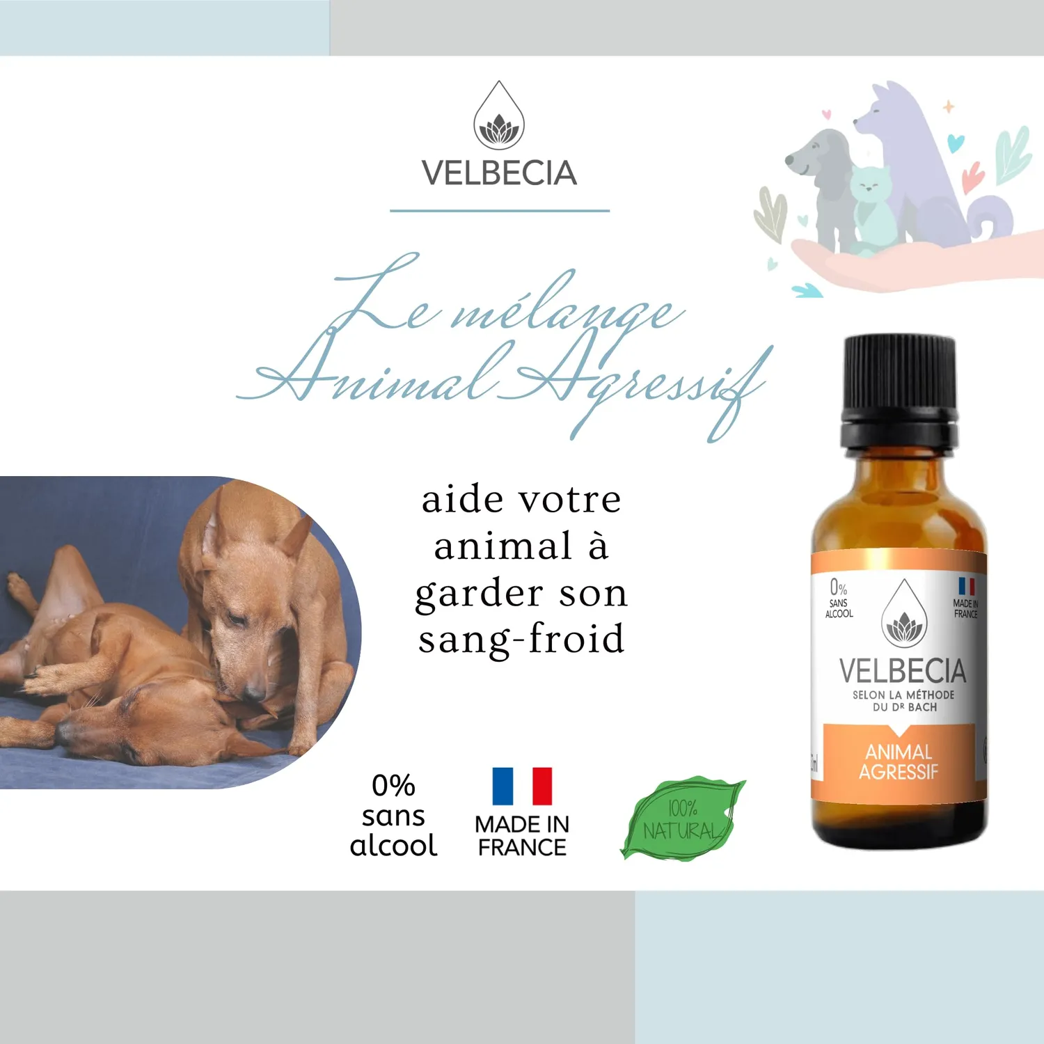 Velbecia Animal agressif élixir 2x30ml sans alcool