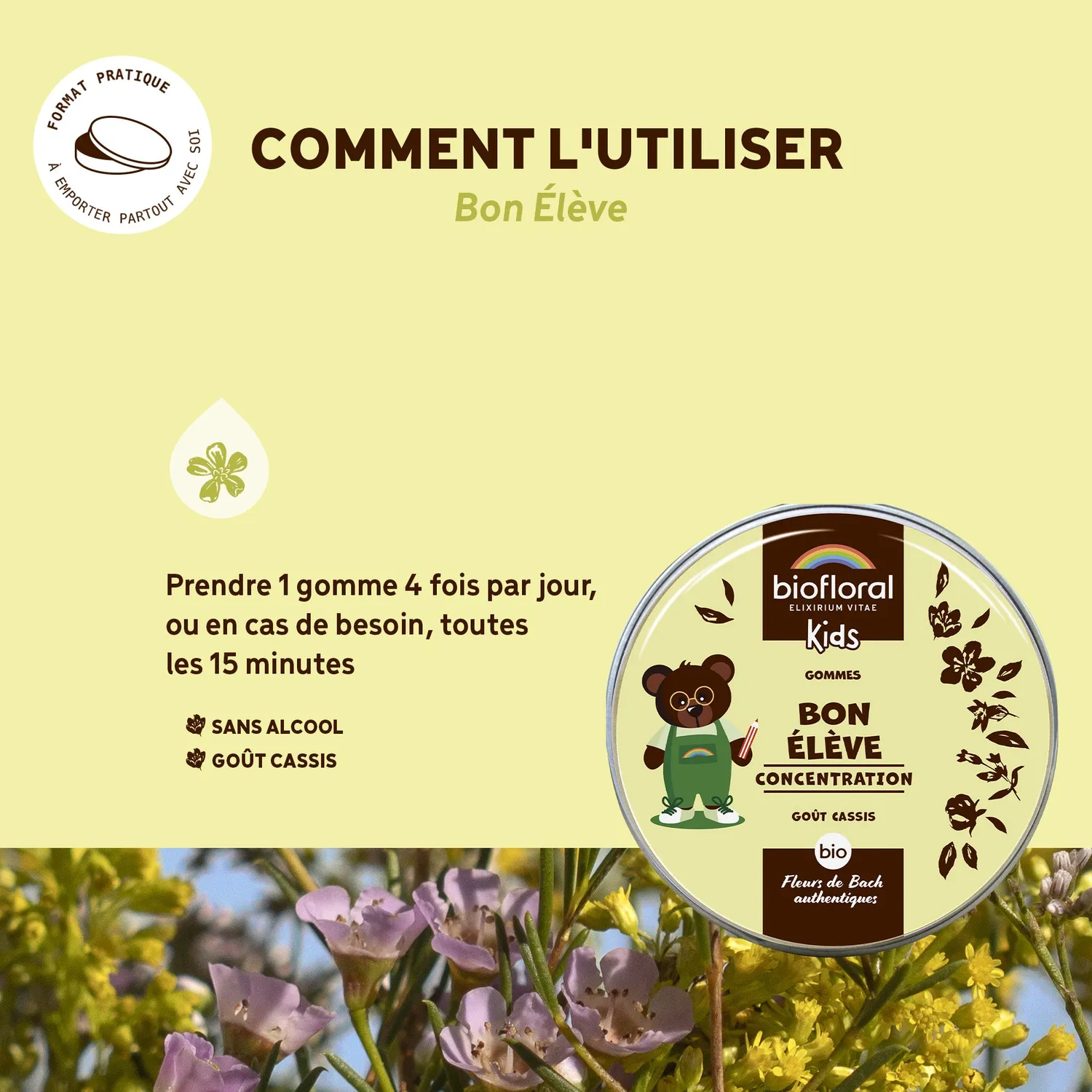 Herbalgem Bon élève gommes bio concentration enfant