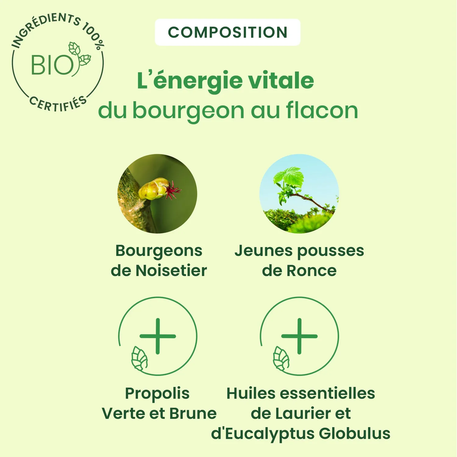 Herbalgem Sirop Fumeurs Bio Respiratoire Confort Gorge