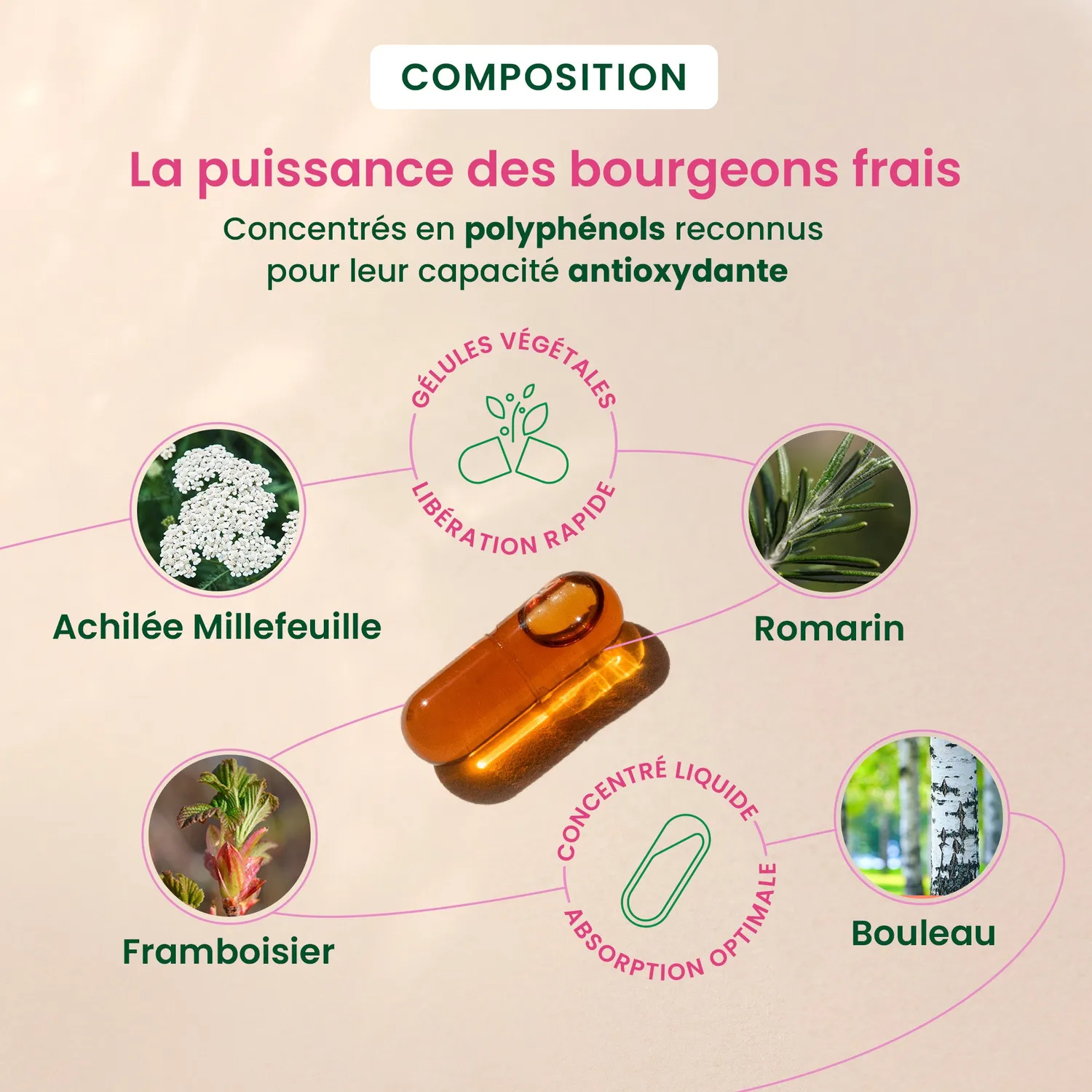Herbalgem Gemmocaps SPM complément bio confort menstruel