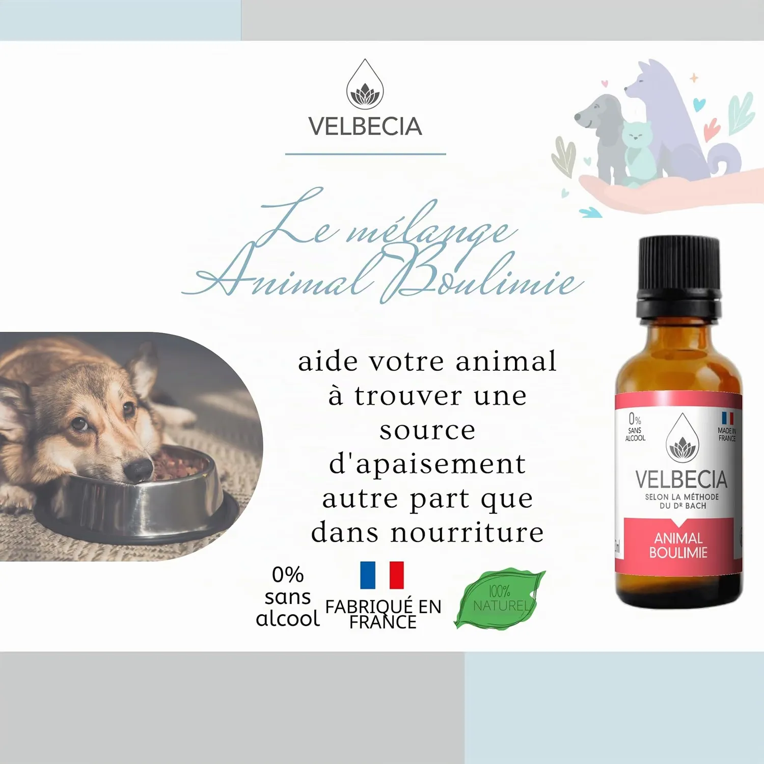 Velbecia Animal Boulimie élixir floral sans alcool 30 ml +1 offert