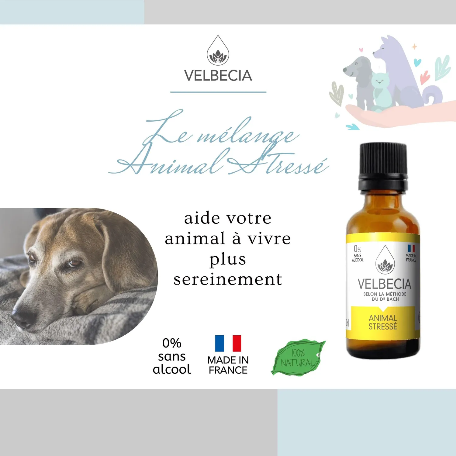Velbecia Animal Stressé élixir fleurs 2x50ml anxieux