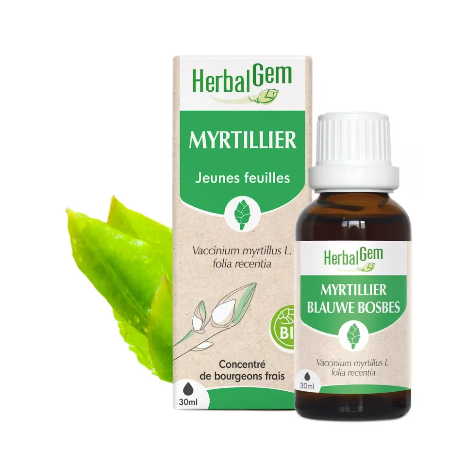 Herbalgem Bourgeon Myrtillier macérat bio vision