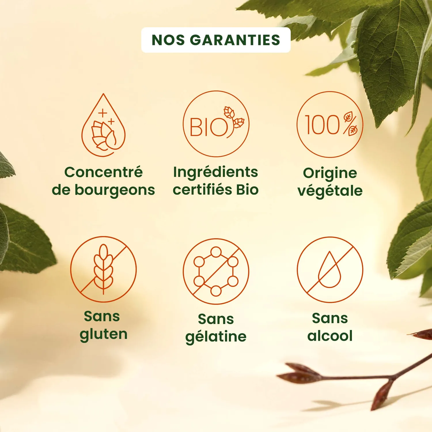 HERBALGEM Gemmocaps Cognition gélules mémoire 30 jours