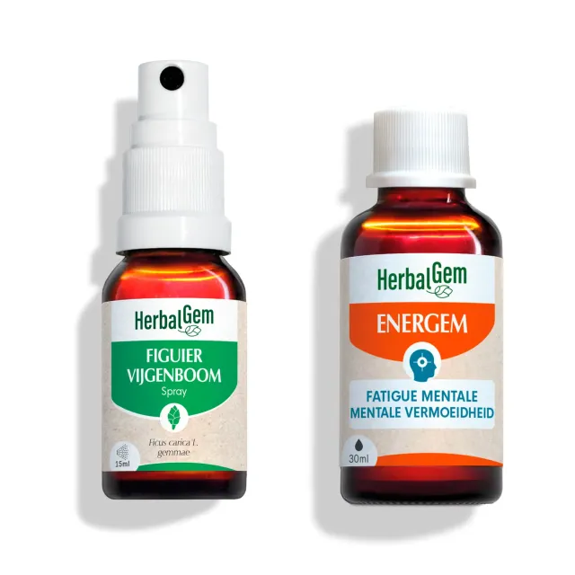 HERBALGEM Duo Adieu charge mentale complexe 2 flacons bourgeons