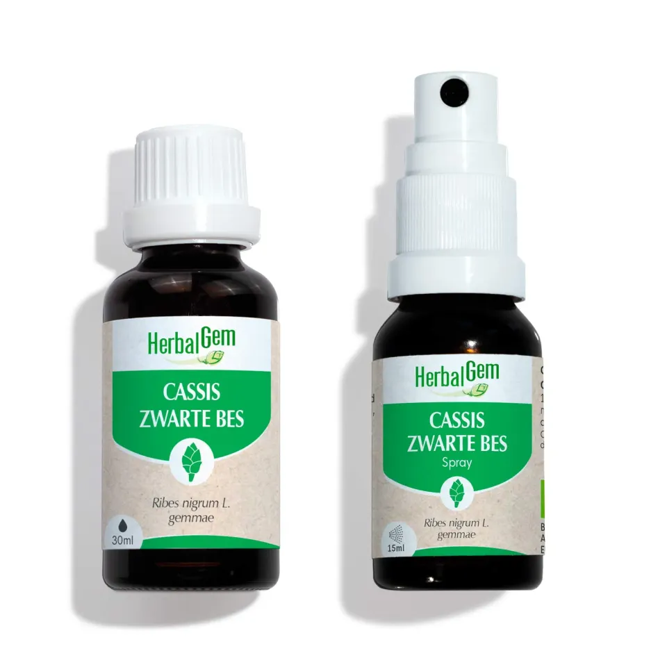 Herbalgem Cassis bourgeon concentré 30 ml + 15 ml bio