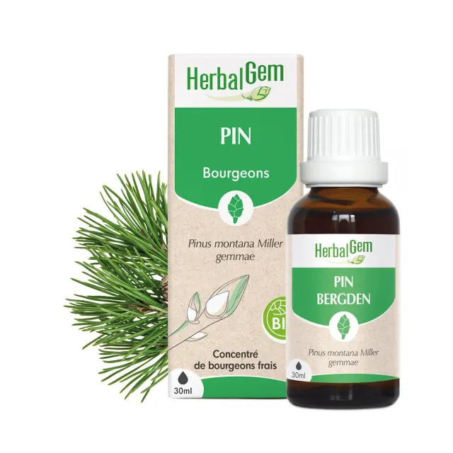 Herbalgem Bourgeon de Pin macérat bio articulations
