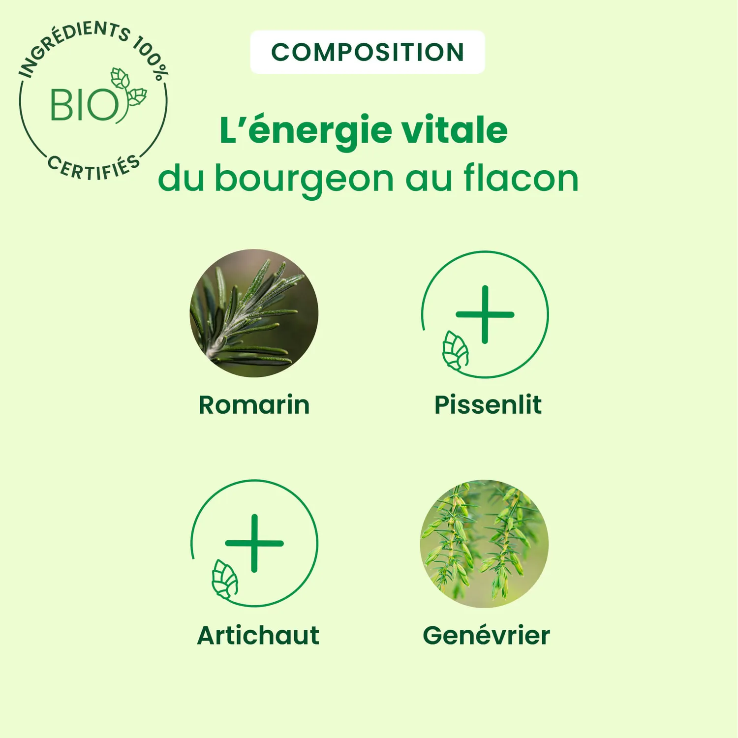Herbalgem DepuraGem complexe drainant bio