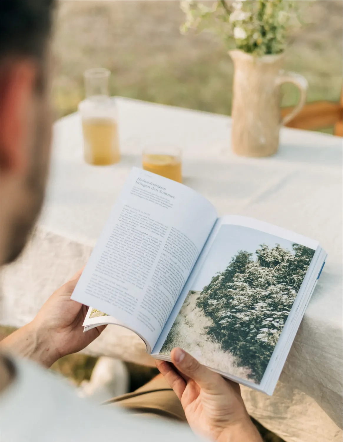 Kruut Wildpflanzen im Alltag livre plantes sauvages recettes
