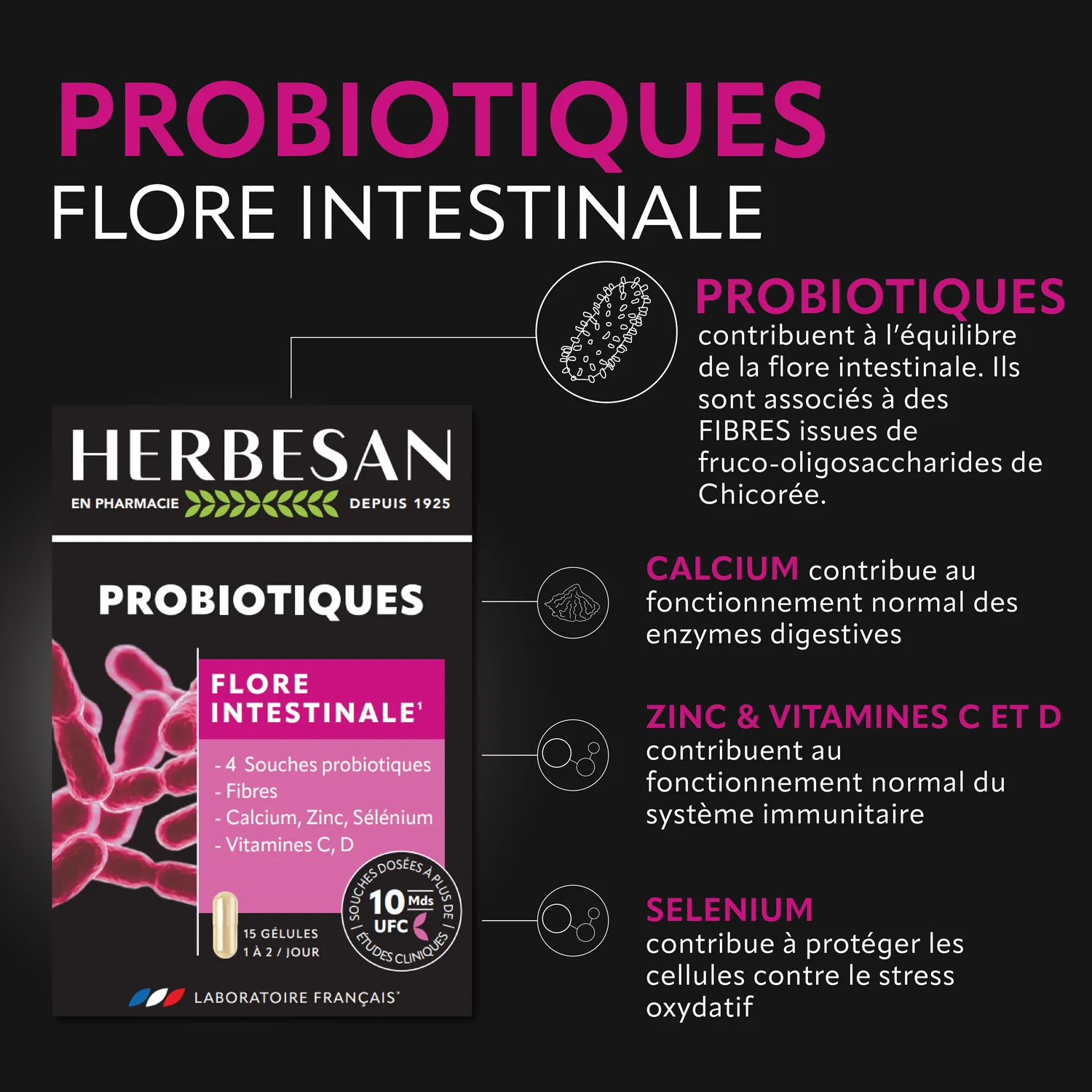 Herbesan Probiotiques complément transit 4 souches