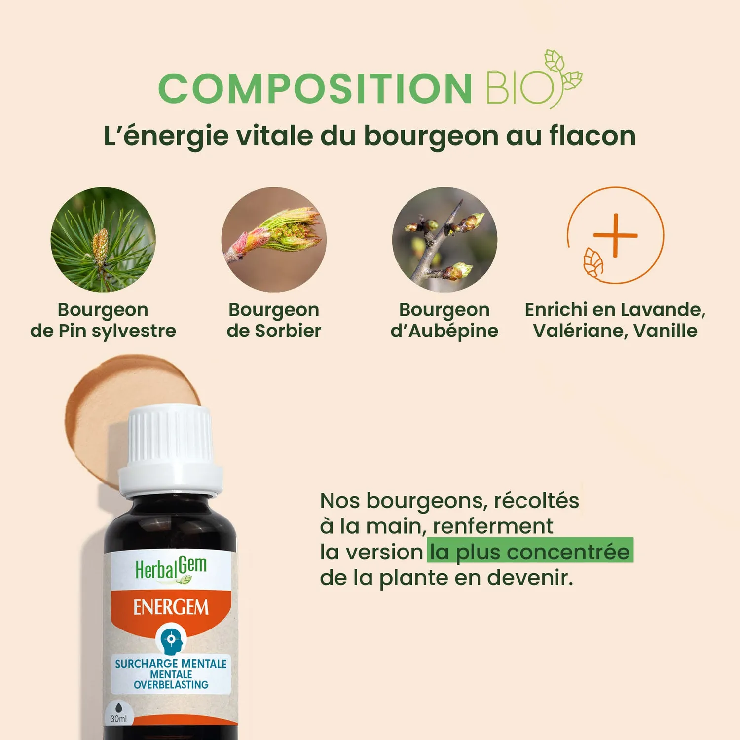 Herbalgem EnerGem Surcharge Mentale Complexe Bourgeons Bio