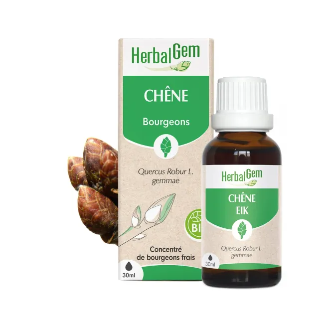 Herbalgem Bourgeon de Chêne Bio macérat 30 ml
