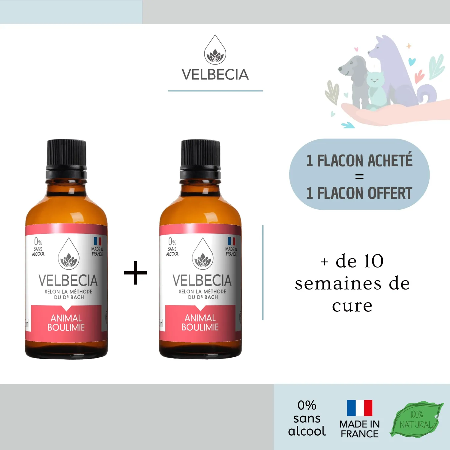Velbecia Animal boulimie élixir fleurs 50ml sans alcool glouton